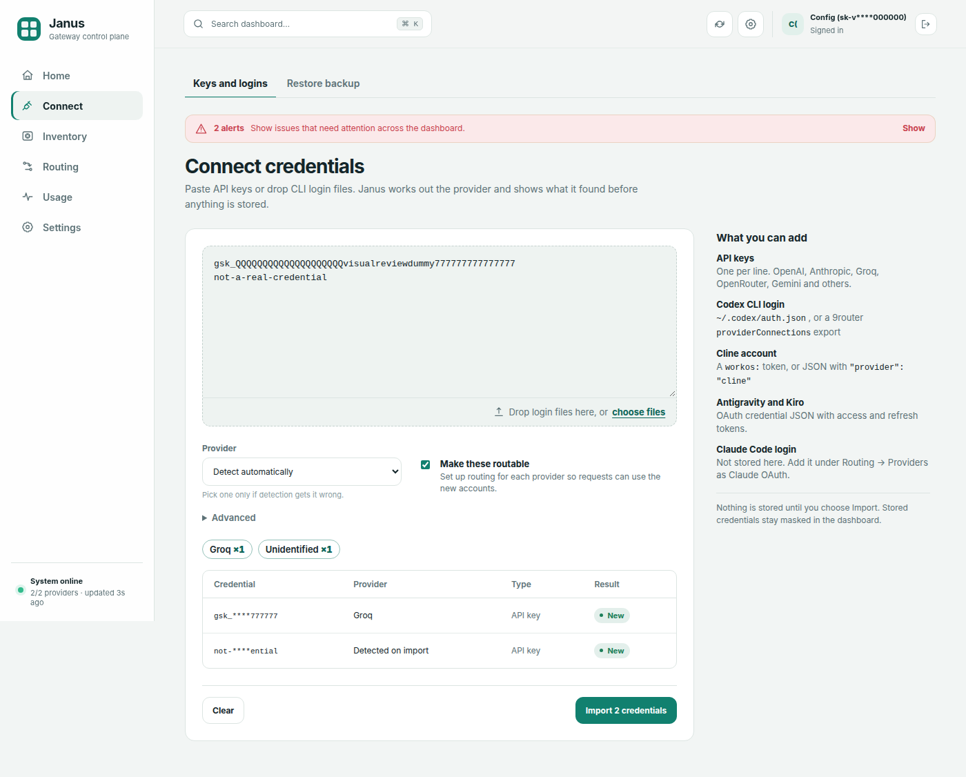 Connect preview showing masked keys grouped by provider